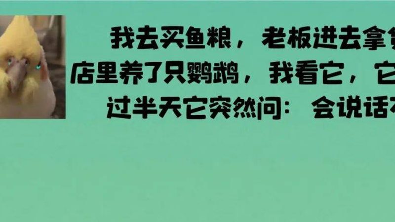 餐饮加盟设备代理加盟政策全解析**